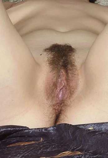 Hairy Pussy Picture 11